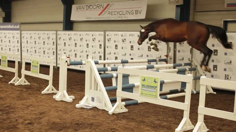 Horse jumping Video stock 39093405