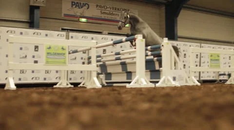Horse jumping Video stock 39093408