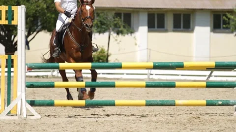 Horse jumping on a hurdle Stock-Footage 63816449