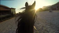 Horse Jumping Hurdle At Sunset, Point Of View Stock Footage
