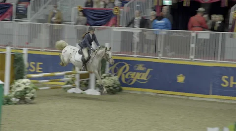 Horse jumping show with young lady riding Stock Footage 57251069