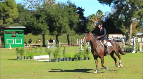 HORSE JUMPS GATES A3 Video stock 926558