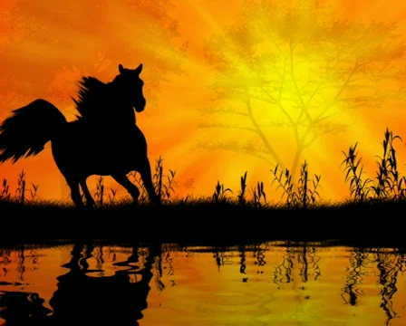 Horse landscape Video stock 121357
