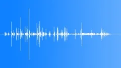 Horse Led Out Sound Effect