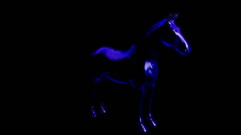 Horse &amp; Leds Stock Footage 103994311