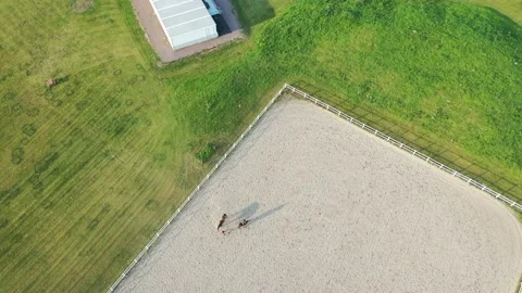 Horse lesson Stock Footage 147334747