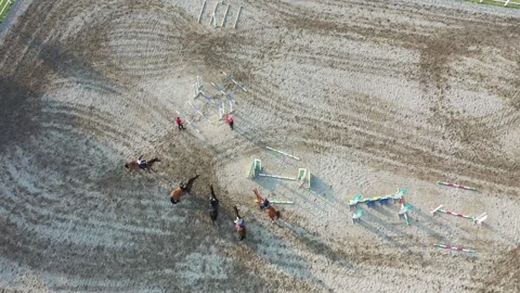 Horse lesson Stock Footage 147334757