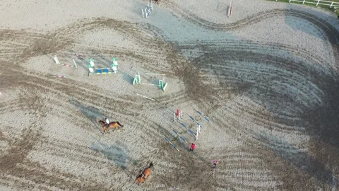 Horse lesson Stock Footage 147334768