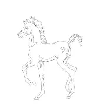 Horse, lines, vector Stock Illustration