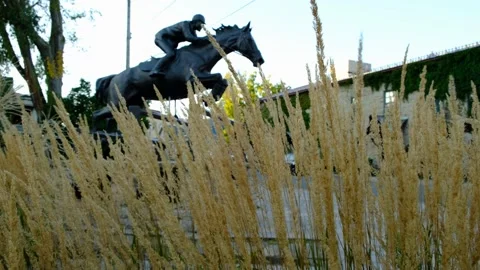 Horse Man Perth 스톡 동영상 172510320