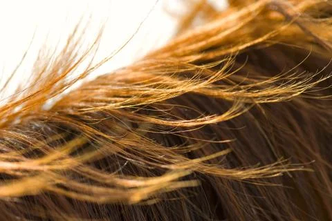 Horse mane texture Foto stock