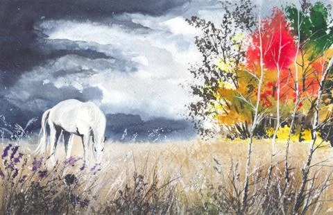 Horse on the meadow Stock Illustration