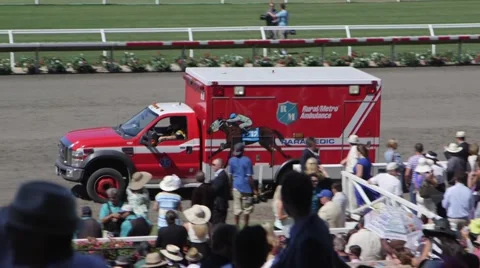 Horse medic Stock Footage 49549171