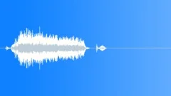Horse Neigh 03 long, farSound Effect