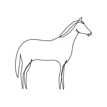 Horse one line drawn vector. Stock Illustration