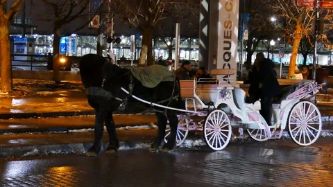 Horse with people dancing Stockbeeldmateriaal 125553745