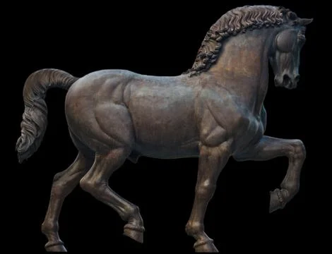 Horse Stock Photos