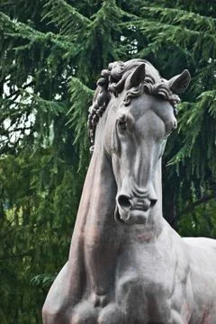 Horse Stock Photos