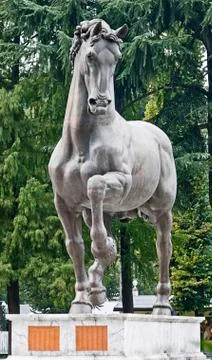 Horse Foto stock