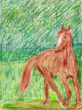 Horse Stock Photos