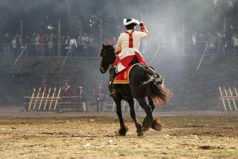 Horse Stock Photos