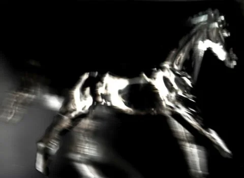Horse Stock Photos