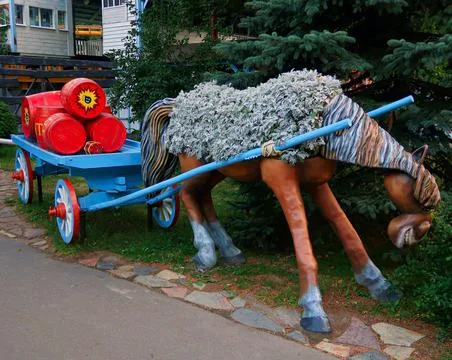 Horse Stock Photos
