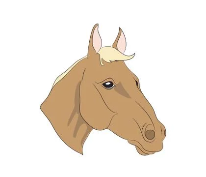 Horse portrait, vector Stock-Illustration