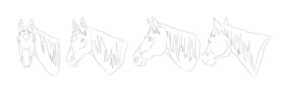 Horse portrait vector illustration, line drawing Stock Illustration