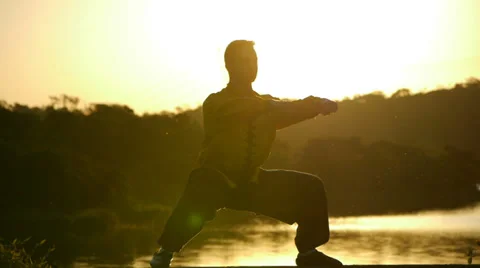 The horse posture Video stock 33689699