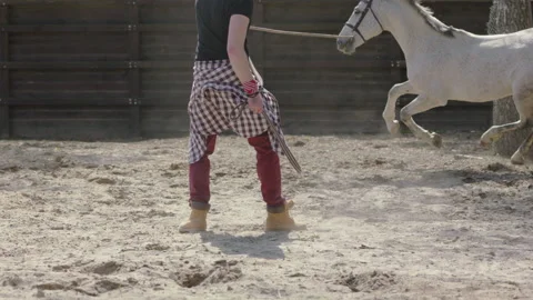 A horse that prances around in a circle on the training ground. Stock Footage 237488421