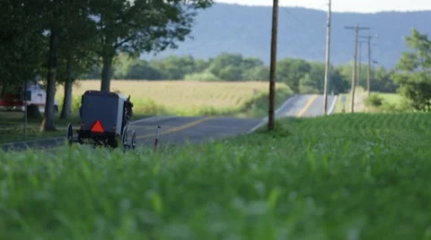 Horse pulling buggy down the street 動画素材 21783908