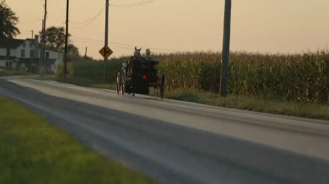 Horse pulling buggy on long stretch of road Stock Footage 21785585
