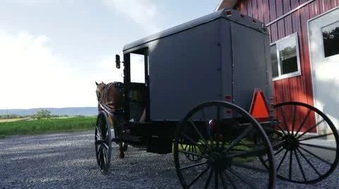 Horse Pulling Buggy Next to Barn Stock Footage 21789450