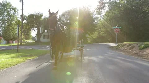 Horse Pulling Buggy On Road Stock Footage 21790227