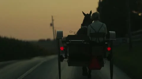 Horse pulling buggy in sunset Stock-Footage 21785579