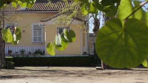 Horse pulling a carriage 4k Stock Footage 70593558