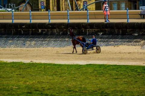 Horse pulling trap being driven by a man on Morecambe Sands Stock Photos