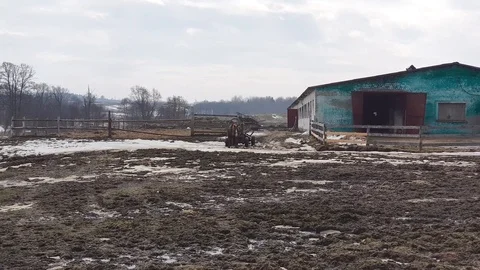 The horse pulls the cart. Stock Footage 106307288