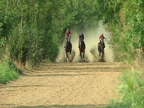 Horse race Stock Footage 79625613