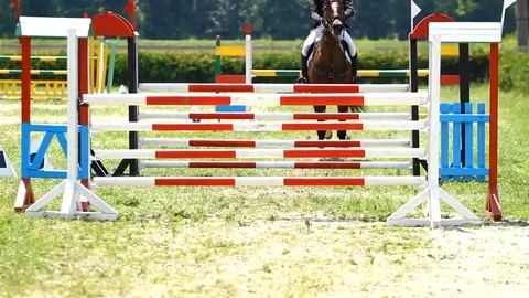 Horse race Stock Footage 79773251