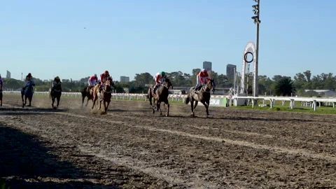 Horse race Stock Footage 88477169