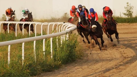 Horse Race Video stock 124267033