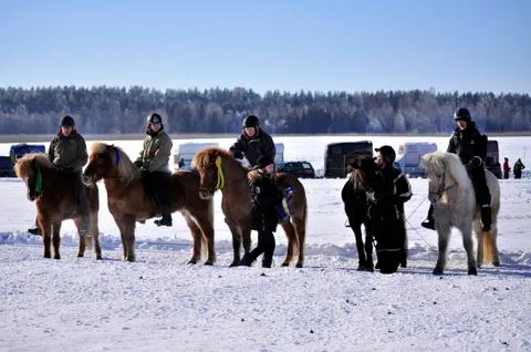 Horse race Stock Photos