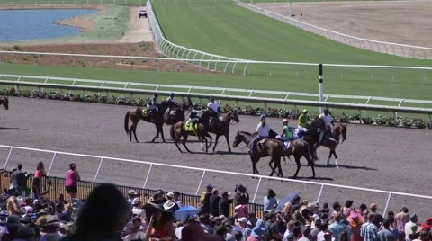 Horse race pre Stock Footage 49549228
