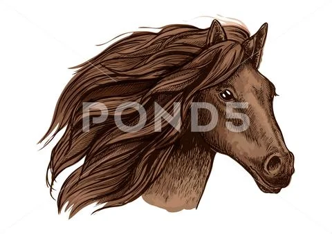 Horse race sport sign. Wild equine mustang running Stock Illustration
