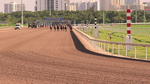 Horse Race Start - Slow Motion Stock Footage 59607553
