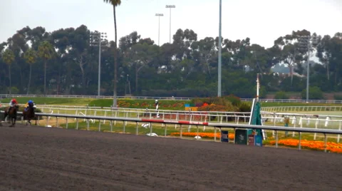Horse Racing 04 - Final Stretch Video stock 1079504