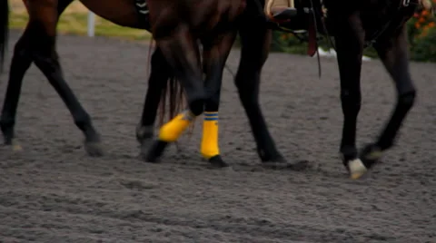 Horse Racing 06 - hooves trotting on track Stock Footage