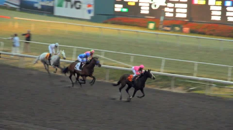 Horse Racing 10 - final stretch Video stock 1079478
